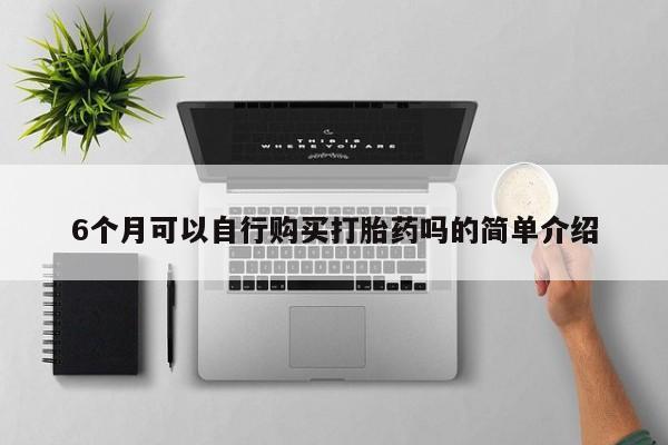 打胎药私人店可以买吗6个月可以自行购买打胎药吗的简单介绍